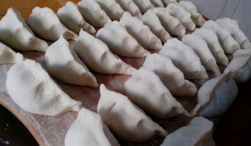 冰箱存餃有妙招，簡(jiǎn)單一步保鮮月余